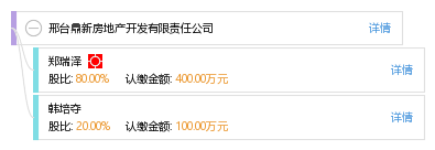 邢台鼎新房地产开发有限责任公司_【信用信息_诉讼信息_财务信息_注册信息_电话地址_招聘信息】查询-天眼查